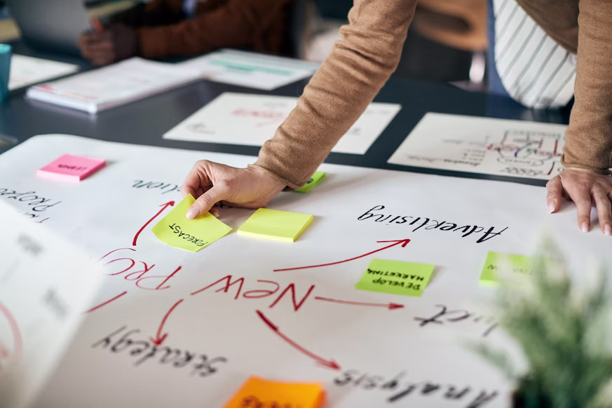 Operational Strategy & Management